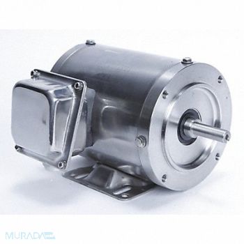 LEESON Washdown Motor 3/4 HP 1140 RPM, 48ZH68