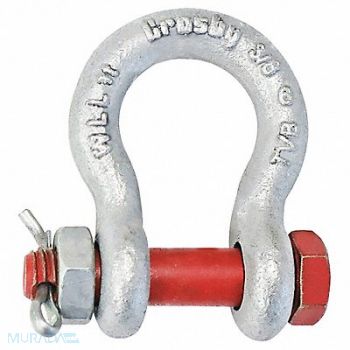 CROSBY Anchor Shackle 3/8 Body Sz Galvanized, 491W18