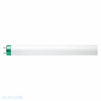 PHILIPS Linear FLUOR Bulb T8 48 L G13 6500K, 492X85