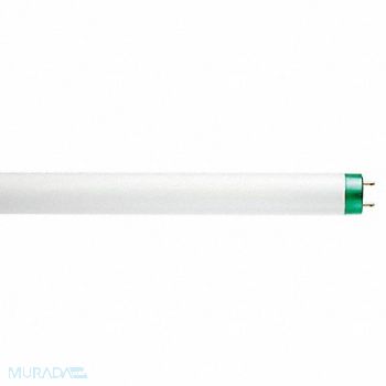 PHILIPS Linear FLUOR Bulb T8 48 L G13 5000K, 492X67