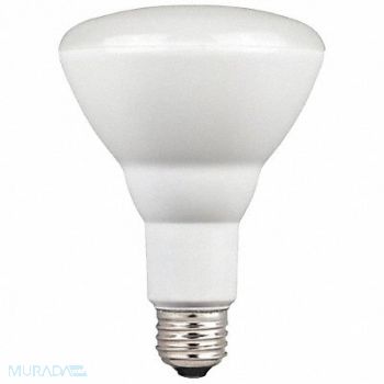SHAT-R-SHIELD LED Bulb BR 5000K 750 lm 9W, 493V05