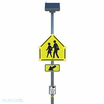 TAPCO LED Systems School Crossing 36 x 36, 493X95