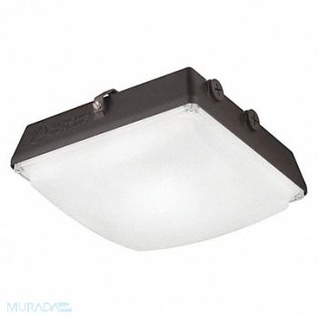 LITHONIA LIGHTING Canopy Light LED 4000K 6600 lm 52W, 494P58