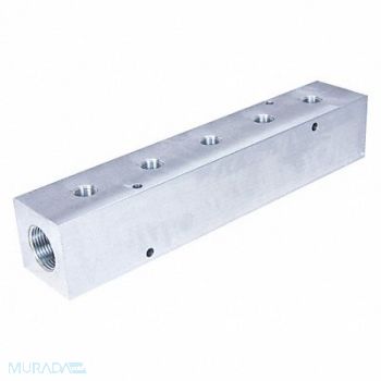 PNEUMADYNE INC Manifold Aluminum 5Outlets 12 L, 49AV66