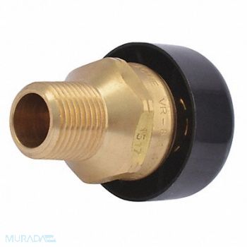 CASH ACME Vacuum Relief Valve Brass NPT Vented, 49EL63