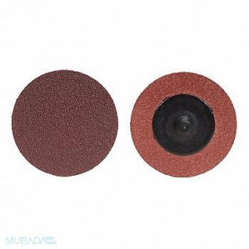 MERIT Quick-Change Sand Disc 2 in Dia TR PK100, 49U891