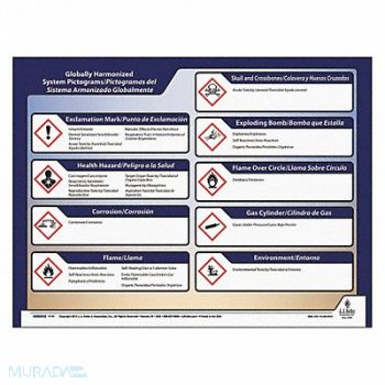 JJ KELLER GHS Poster Poster-Bilingual 20 H 24 W, 49VT01