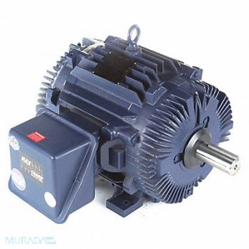 MARATHON MOTORS Cooling Tower Motor 3-Phase 60 HP, 49WN31