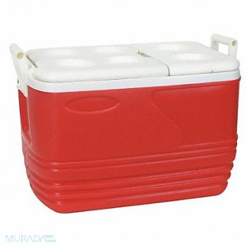 GRAINGER APPROVED Chest Cooler Hard Sided 60.0 qt., 4AAP7