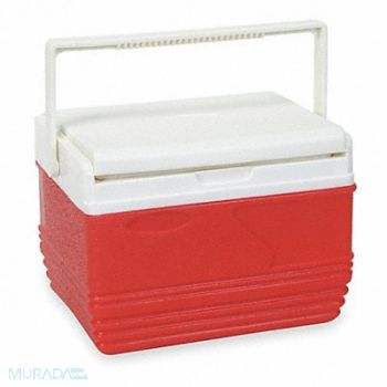 GRAINGER APPROVED Personal Cooler Hard Sided 11.6 qt., 4AAP9