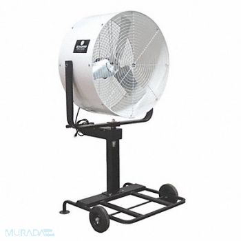 SCHAEFER Stndrd Dty Indstrl Fan 36 Blde Dia 1Spd, 4ARK8