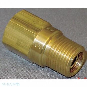 GRAINGER APPROVED Piston Check Valve Brass 1/8 MNPTxFNPT, 4DHR5