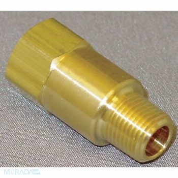 GRAINGER APPROVED Piston Check Valve Brass 1/8 MNPTxFNPT, 4DHR8