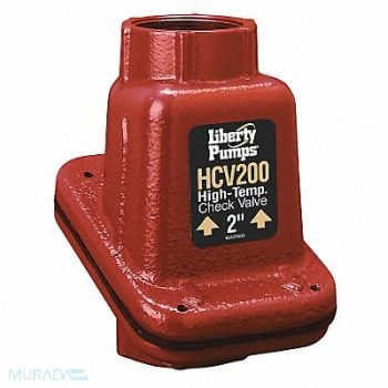 LIBERTY PUMPS Swing Check Valve Cast Iron 2 FNPT, 4DKK8