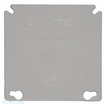 CANTEX Plastic Ring Cover 2-Gang 4 in., 4FZD8