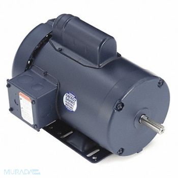 LEESON 50 Hz Motor 1 HP 1 425 RPM 110/220V 56H, 4GUF1