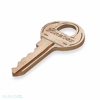 MASTER LOCK Control Key Master Key 1, 3JYV7