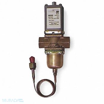 JOHNSON CONTROLS Water Regulating Valve 2 Way NPT 3/8 in., 20RG36
