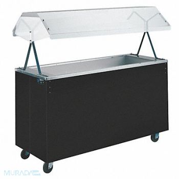 VOLLRATH Portable Cold Food Station 60 x 24, 4NDV6