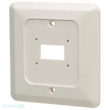 DAYTON Wall Plate White 5x5in, 4PU52