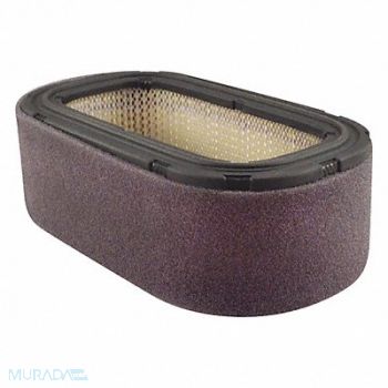 BALDWIN FILTERS Air Filter Oval, 4RFN3