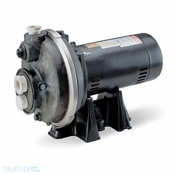 DAYTON Pool Pump 1/2 hp 115/230V AC 1 Phase, 4RK03
