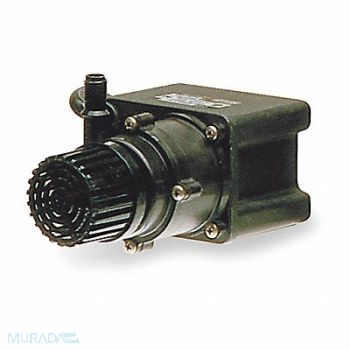 LITTLE GIANT Magnt Drv Pmp 1/4in NPT 1/35hp Glss PP, 4RL36