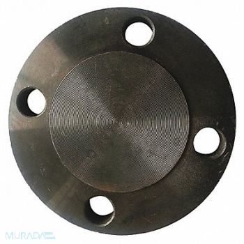 GRAINGER APPROVED Pipe Flange Steel 8 Pipe Size Class 150, 4TXE9