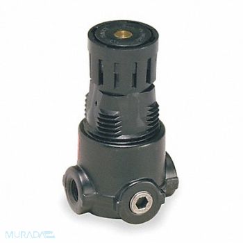 WILKERSON Air Regulator 1/4 in NPT 22 cfm 300 psi, 4TY39