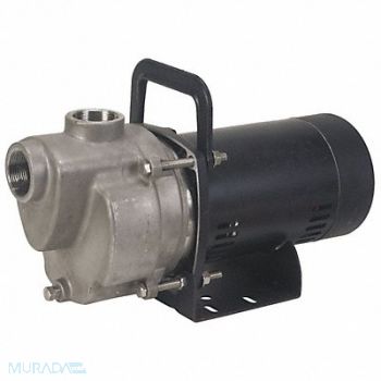 DAYTON Self Priming Pump 1/3 HP 304 SS, 6GPG3