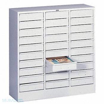 TENNSCO Horz Lit Organizer Legl 30 Drawer LtGray, 4YTE5