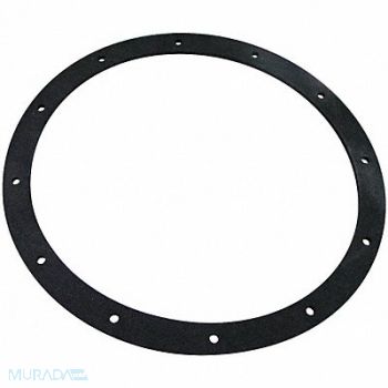 BALDWIN FILTERS Sponge Gasket Gasket G145-AF, 4YXF9