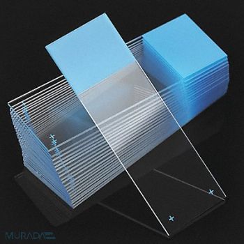 GLOBE SCIENTIFIC Microscope Slide Blue 25x75mm PK72, 46AW80