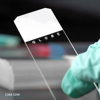 GLOBE SCIENTIFIC Slide White Glass White Frost PK1440, 508Z99