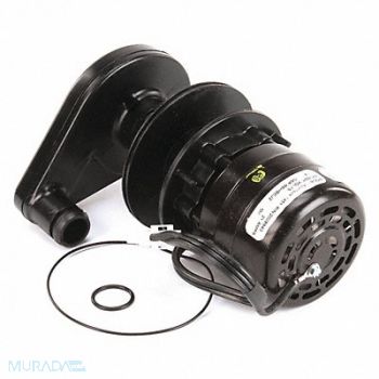 MANITOWOC Water Pump 230V 50 Hz 1 Phase, 50PF61