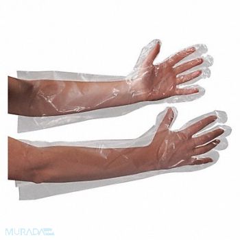 PARTNERS BRAND Gloves Poly Elbow Length 18 PK100, 51CT23