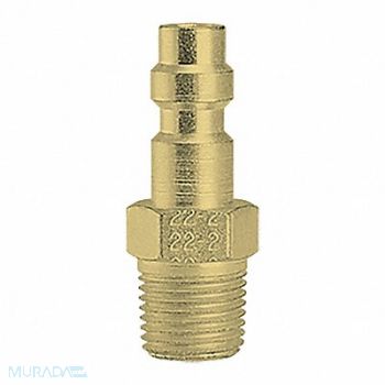 FOSTER Plug Male Thread 1/8 MPT Brass, 51RU30