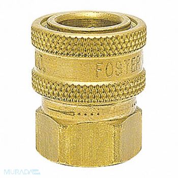 FOSTER Straight-Thru Brass Socket 1/4 FPT, 51RU45