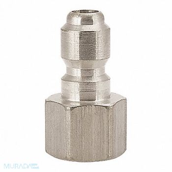 FOSTER SS303 Plug 3/8 FPT, 51RW30