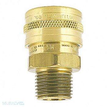 FOSTER Brass Socket 3/8 MPT, 51RW42