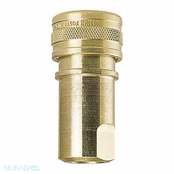 FOSTER Brass Socket 1/4 x1/4 FPT, 51TH53