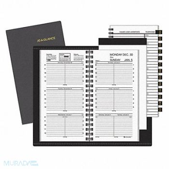 AT-A-GLANCE Appointment Book 3-1/4 x 6-1/4, 52DN56
