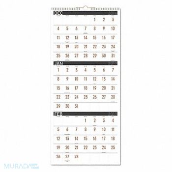 AT-A-GLANCE Wall Calendar 12 x 27-1/8, 52DP95