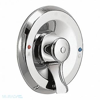 Trim Moen Chrome, 52JM94