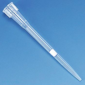 GLOBE SCIENTIFIC Filtered Pipet Tip 0.1 to 10uL PK960, 52JY04