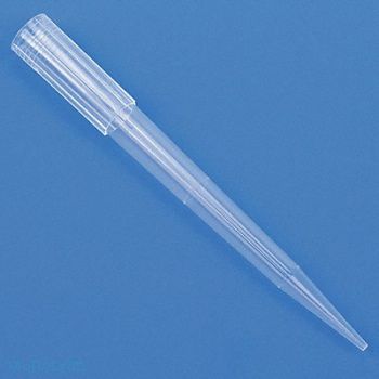 GLOBE SCIENTIFIC Pipette Tip 0.1 to 1250uL Refill PK480, 52JY36