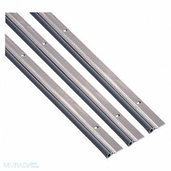 NATIONAL GUARD J5657 Weatherstrip Hollow Bulb Insert, 52WZ69