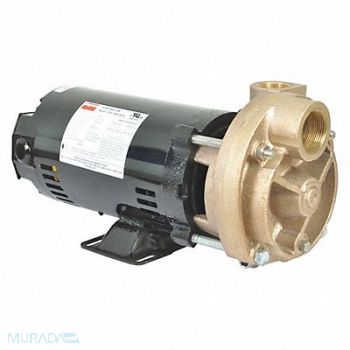 DAYTON Turbine Pump 3/4 HP 208-230 to 460V, 53EA97