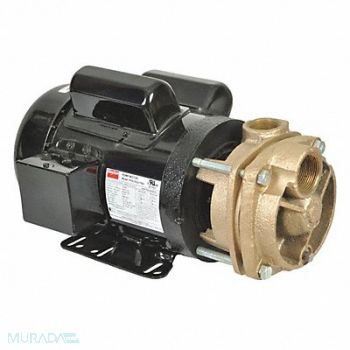 DAYTON Turbine Pump 1-1/2 HP 115 to 230V, 53EA98