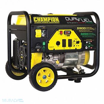 CHAMPION POWER EQUIPMENT Portable Generator Conventional 5500W, 53EC14